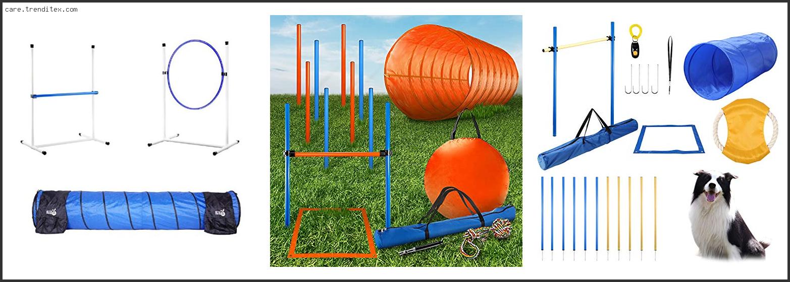 Best Dog Agility Equipment