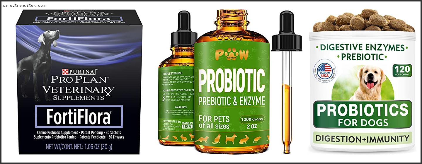 Best Dog Probiotics For Diarrhea