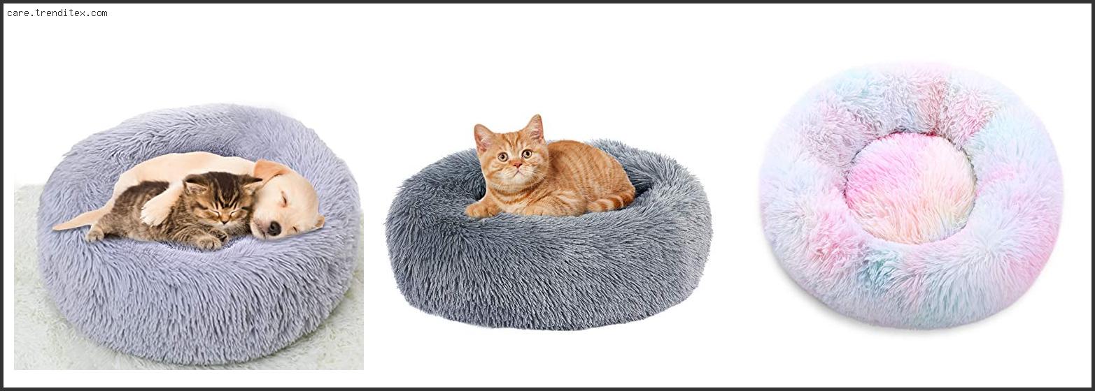 Best Marshmallow Cat Bed