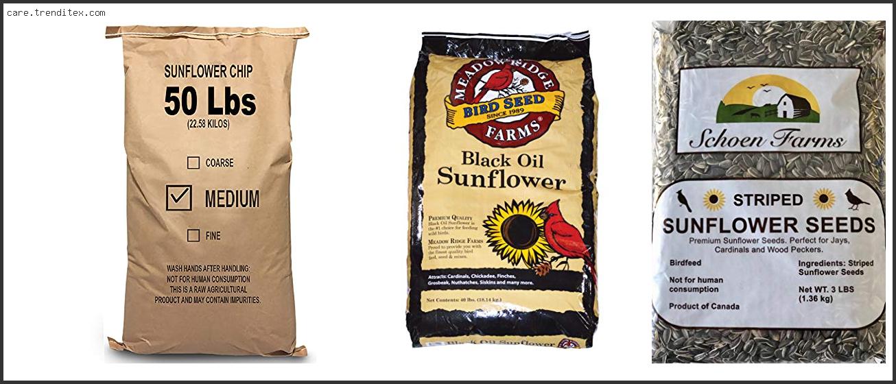 Best Sunflower Seeds For Birds