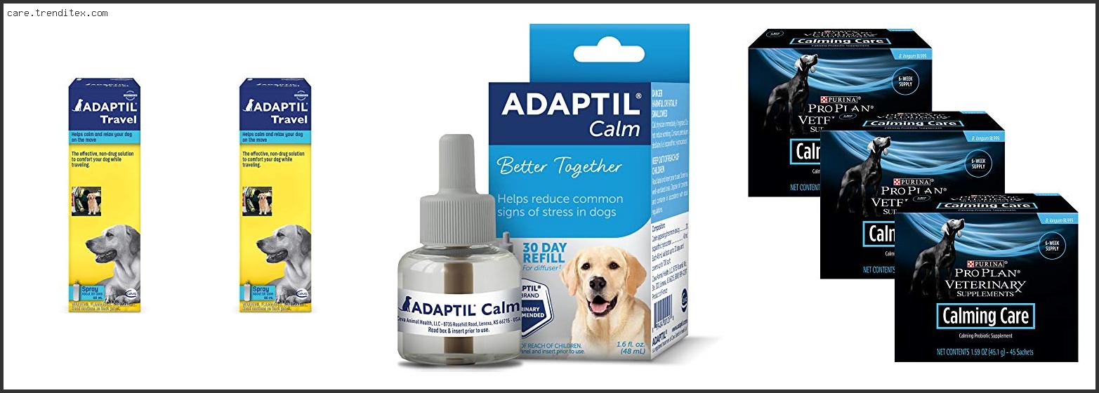 Best Calming Plug In For Dogs