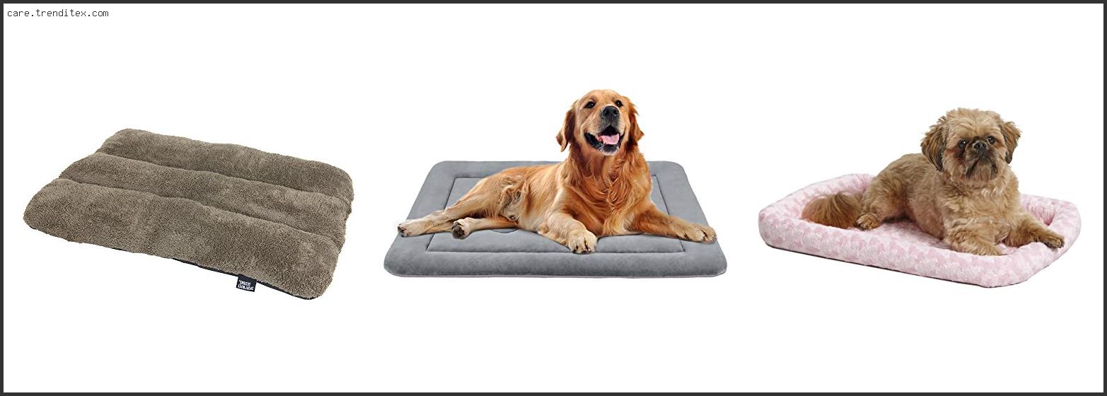 Best Bedding For Dog Kennel