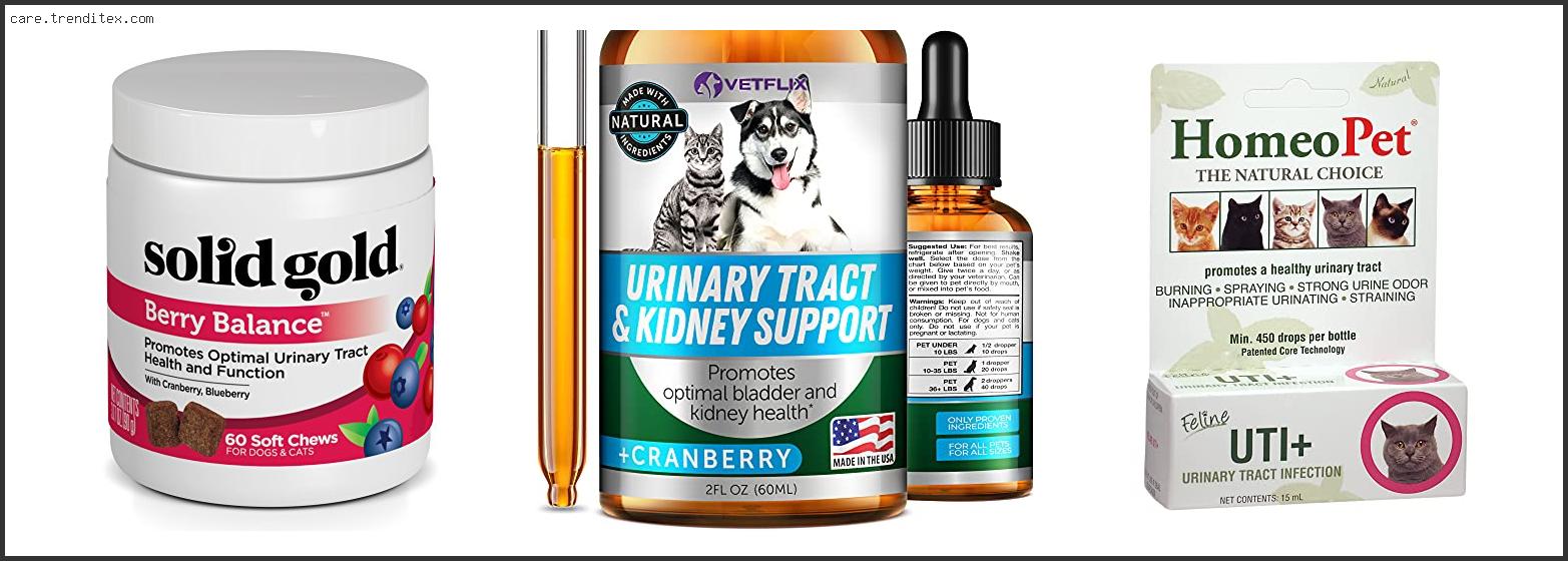 Best Uti Supplement For Cats