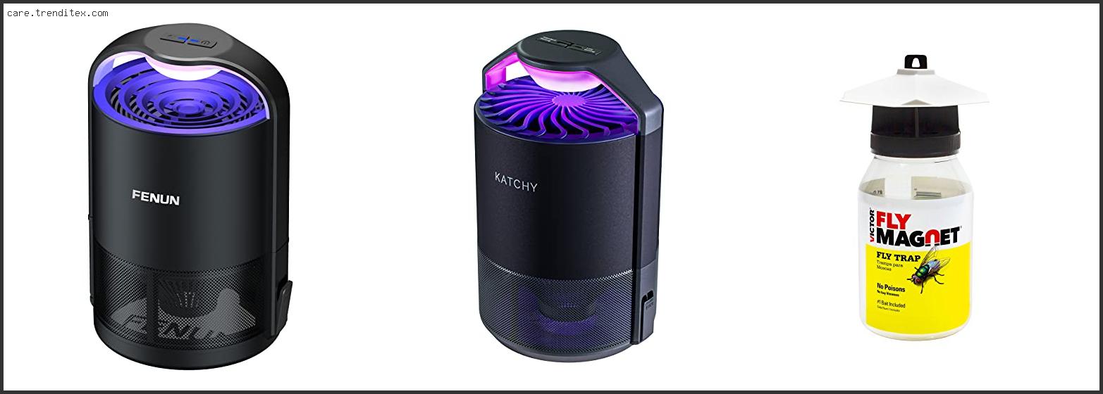 Top 10 Best Indoor Fly Catcher Reviews With Scores Best Indoor Fly Catcher