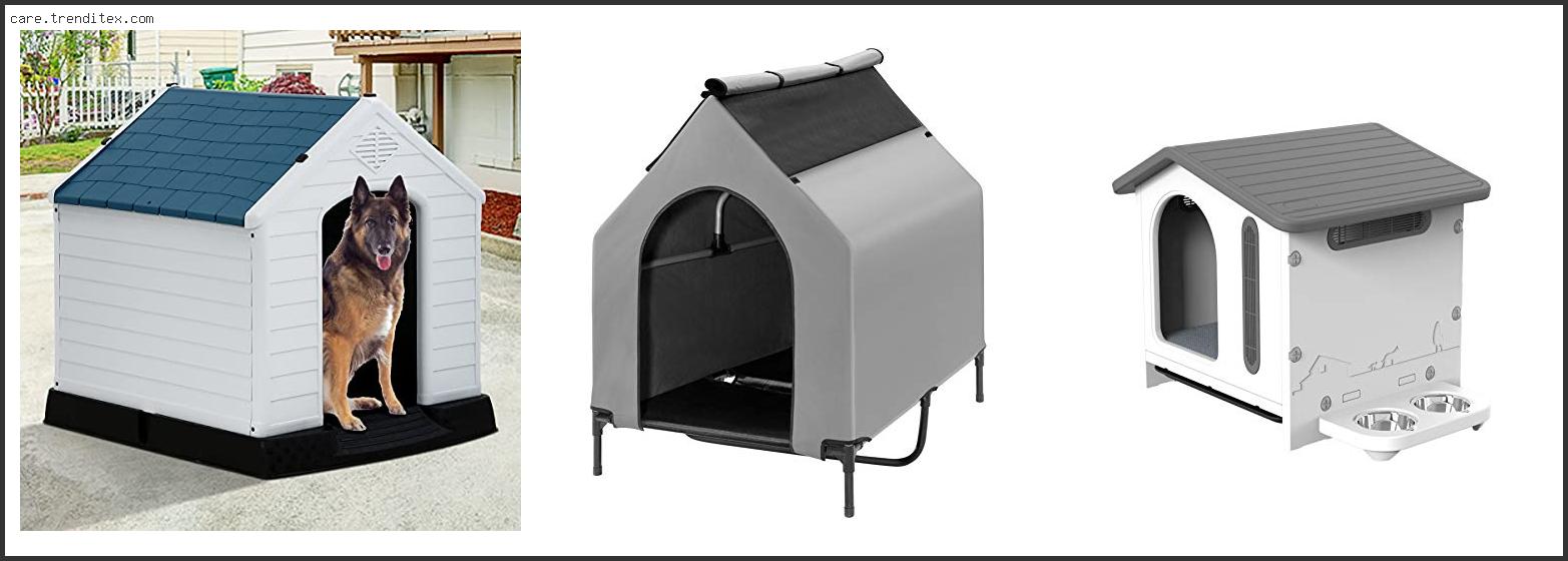 Best Dog House For Two Dogs