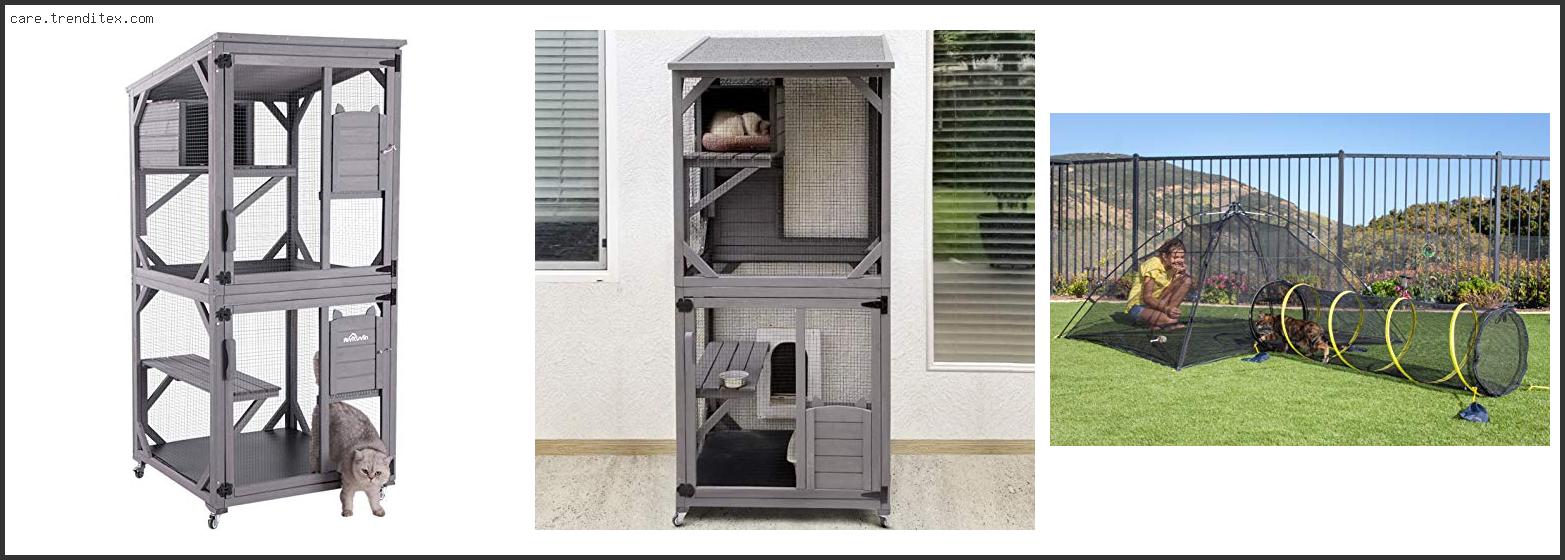 Best Outdoor Cat Enclosures