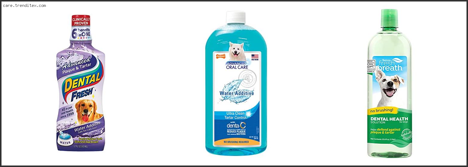 Best Water Additive For Dogs