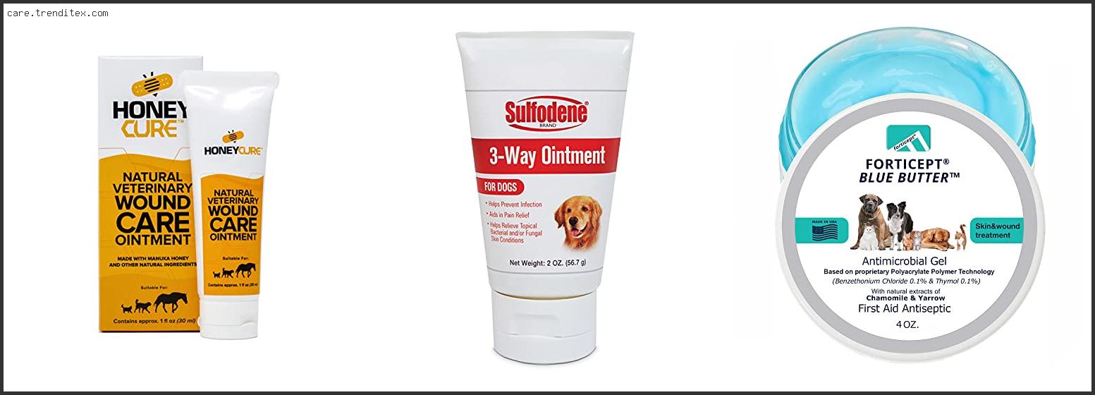 Best Ointment For Dogs