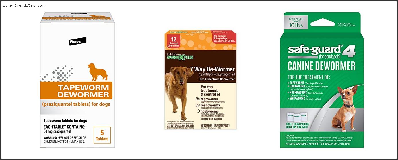 Best Tapeworm Medication For Dogs