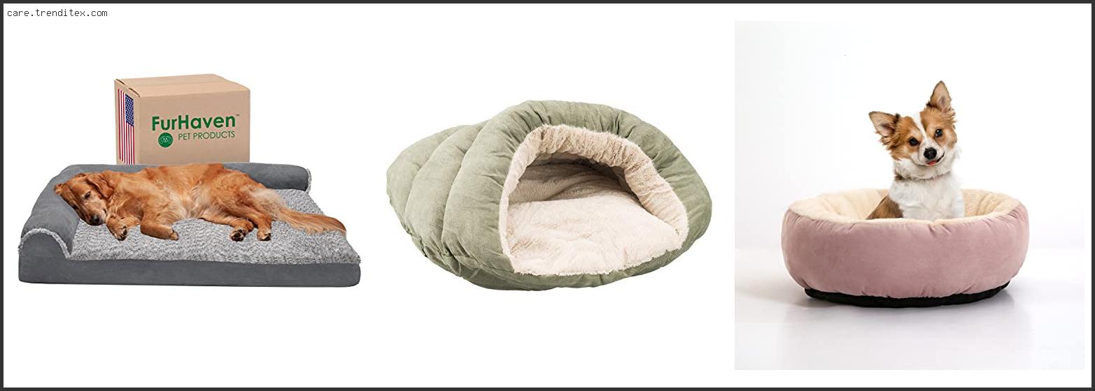 Best Dog Bed For Yorkshire Terrier