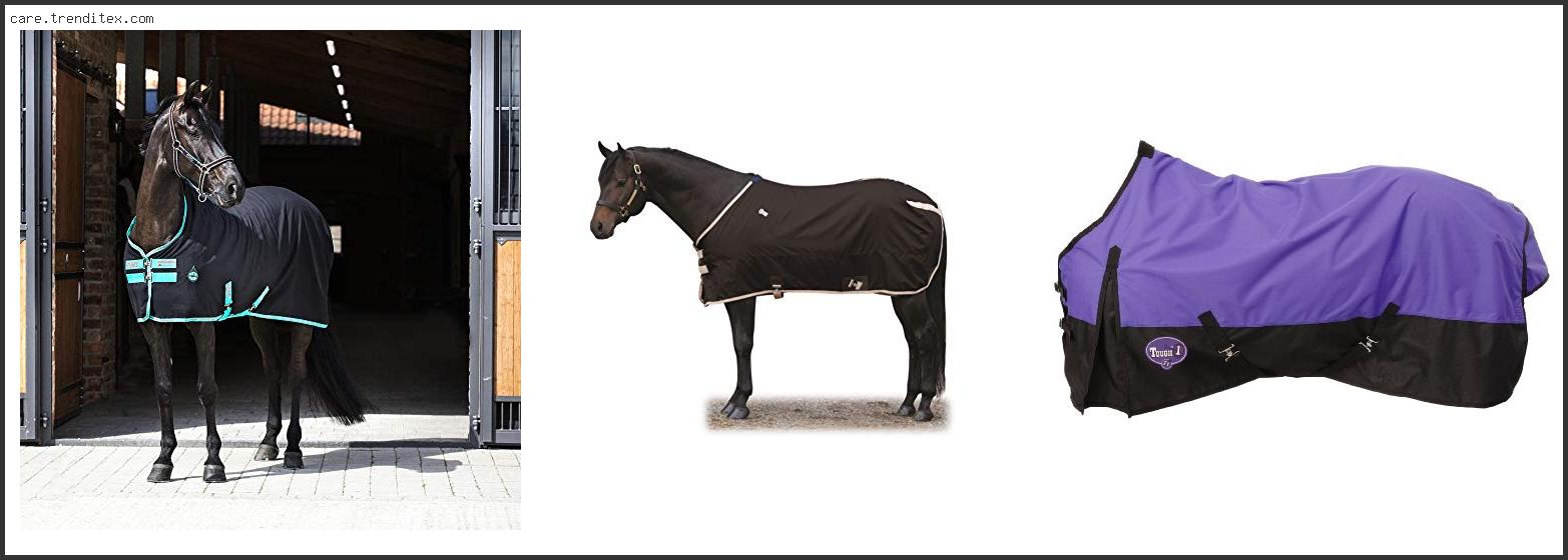 Best Stable Sheets For Horses