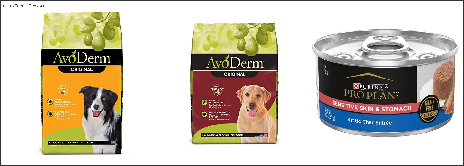 Best Wet Dog Food For Skin And Coat