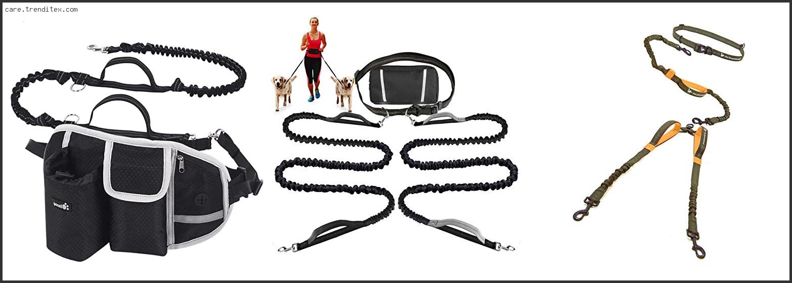 Best Waist Leash For Multiple Dogs