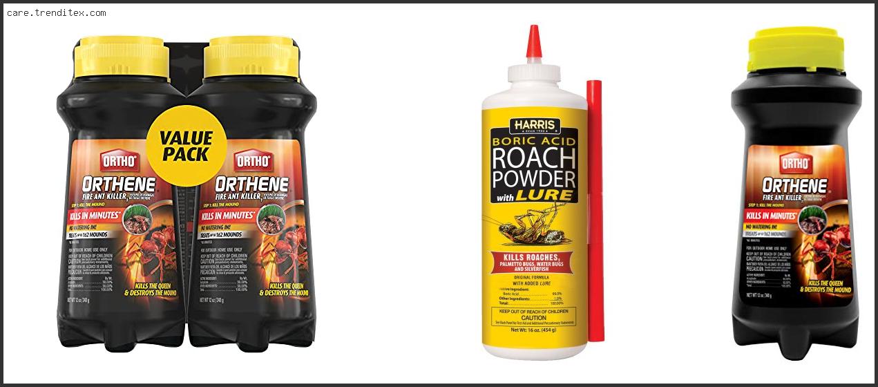 Best Cockroach Killer Powder