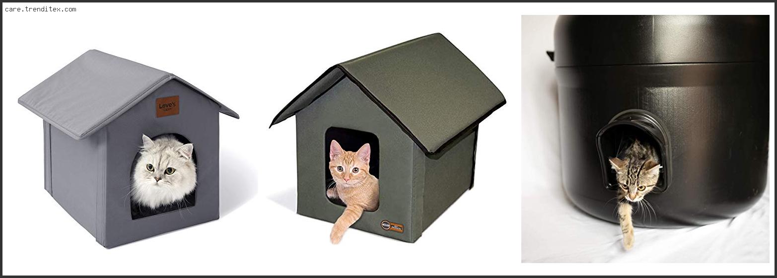 Best Outdoor Cat Shelter For Winter