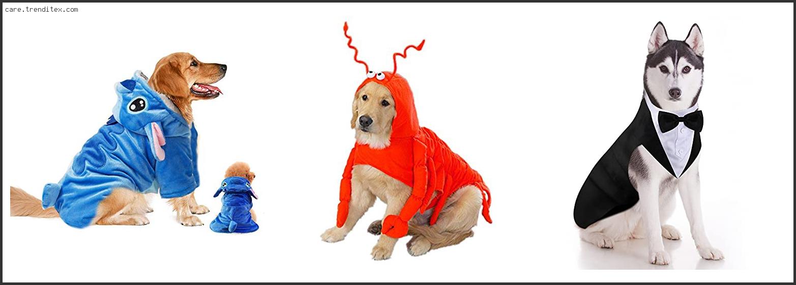 Best Large Dog Costumes