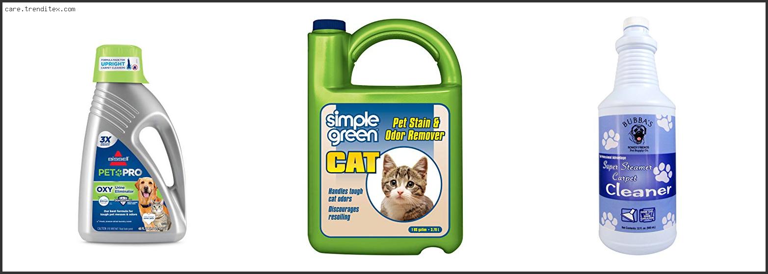 Best Steam Cleaner For Cat Urine