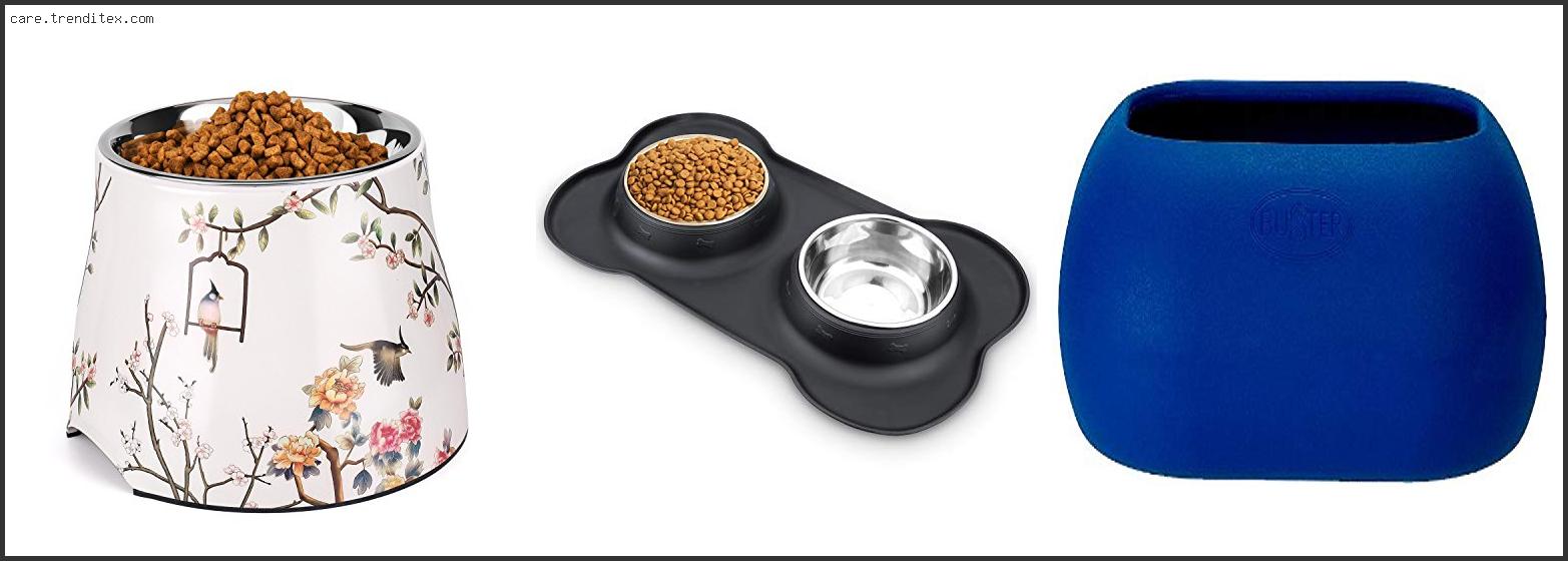 Best Dog Bowls For Cocker Spaniels