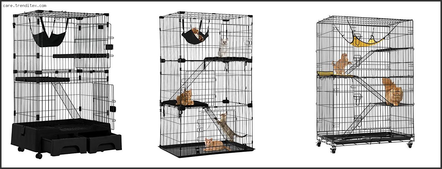 Best Cage For Cat