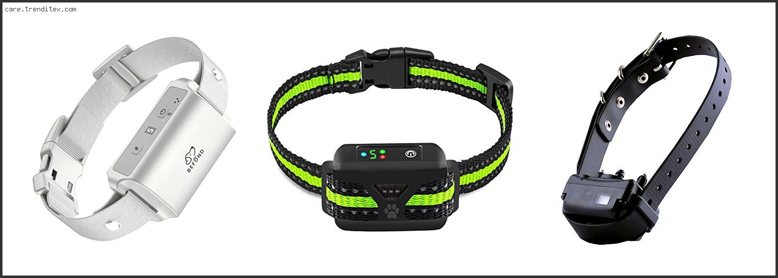 Best Dog Bark Control Collar