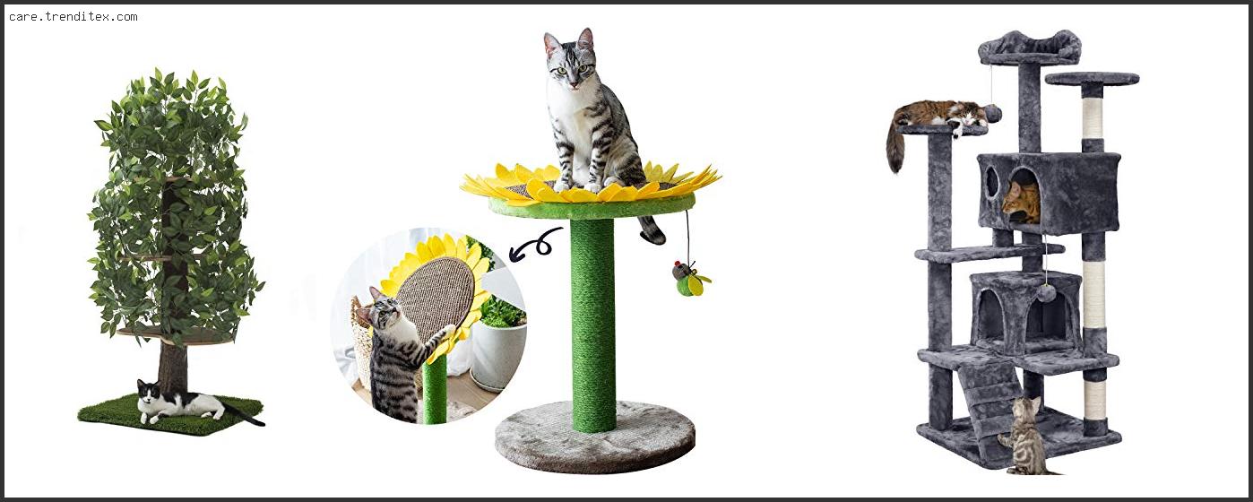 Best Looking Cat Trees