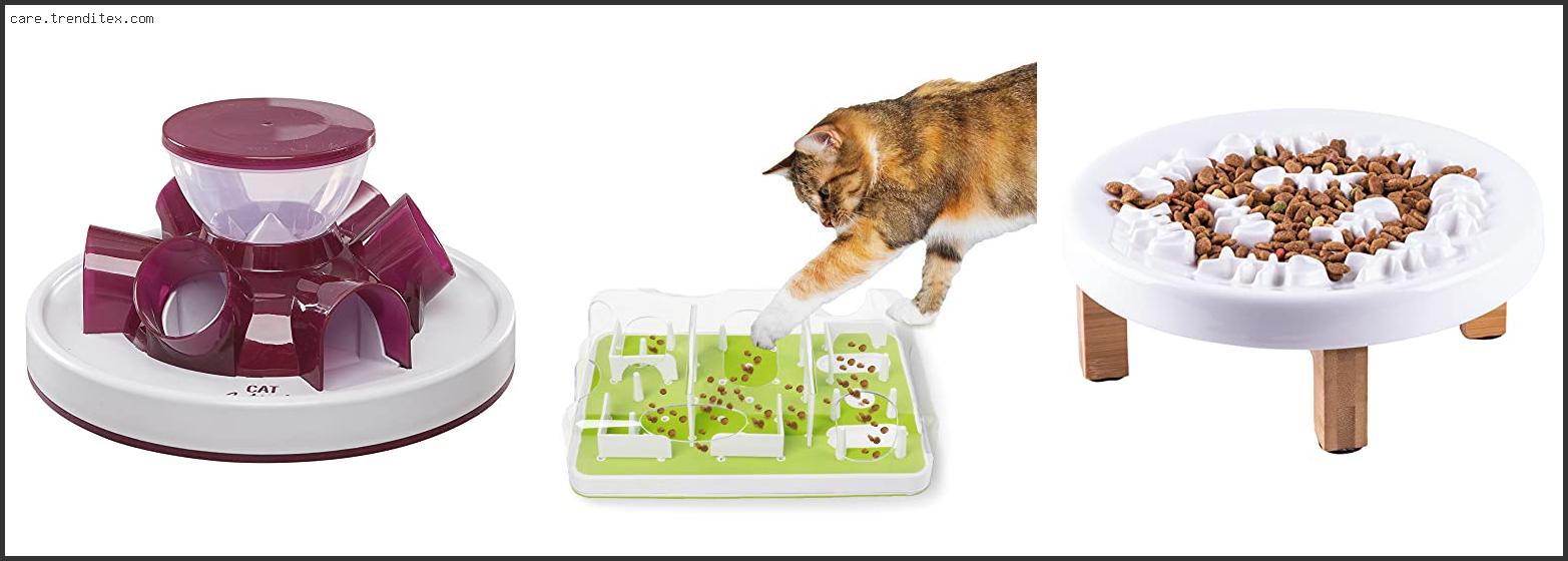 Best Cat Puzzle Feeder