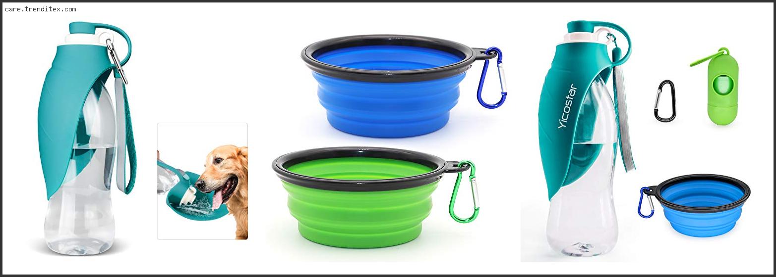 Best Hiking Dog Water Bowl