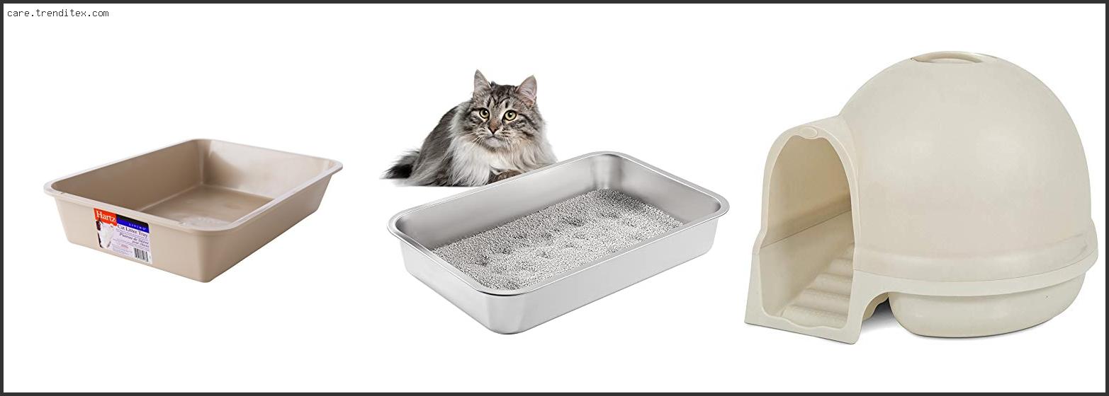 Best Cat Litter Box For Older Cats