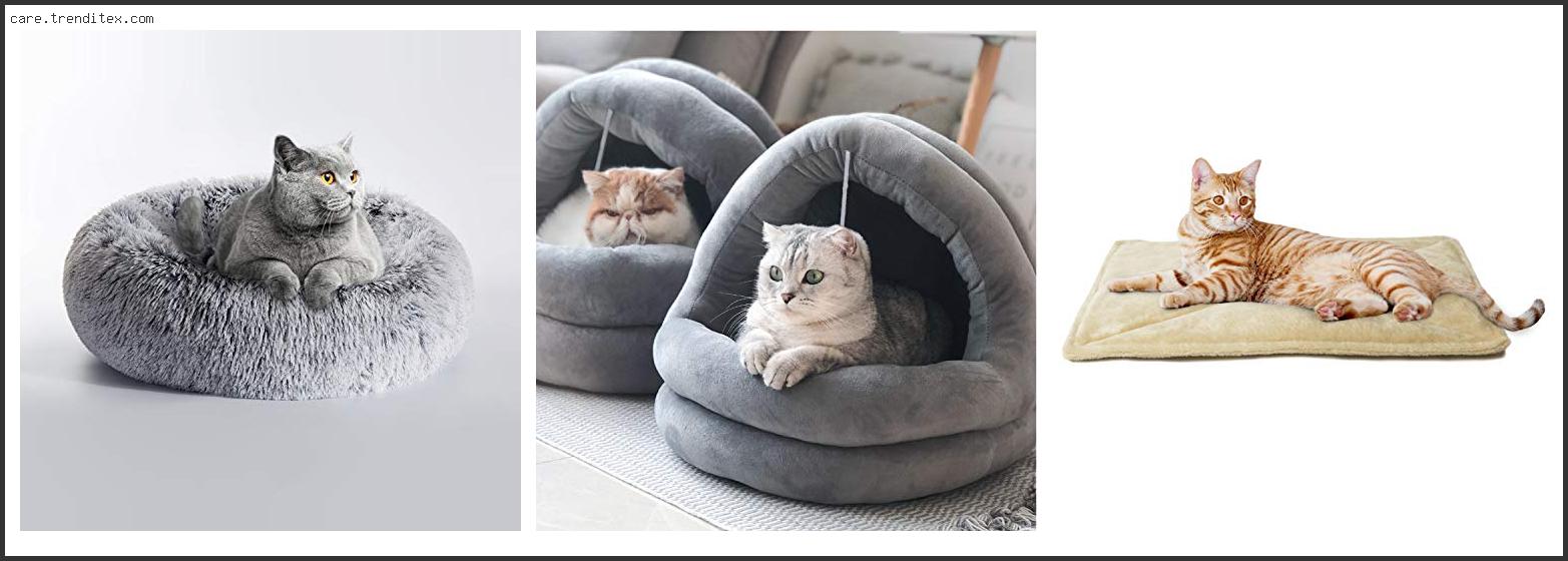 Best Washable Cat Bed