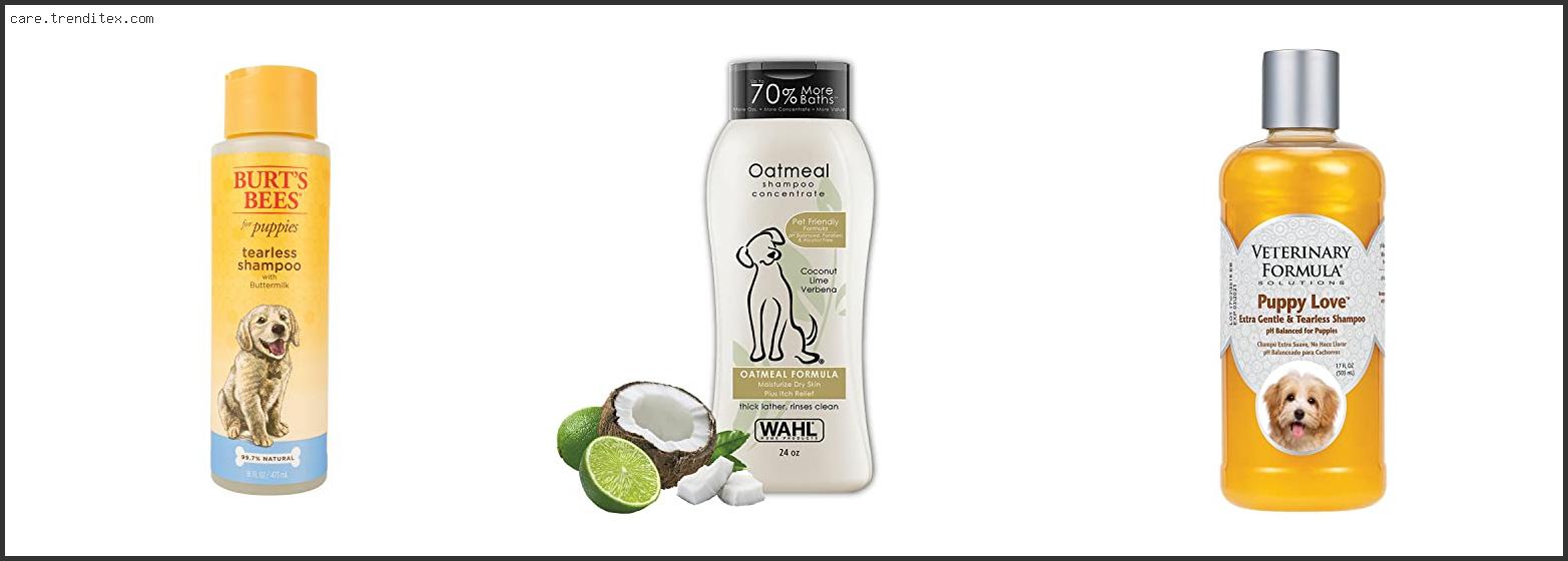 Best Shampoo For Old Dogs