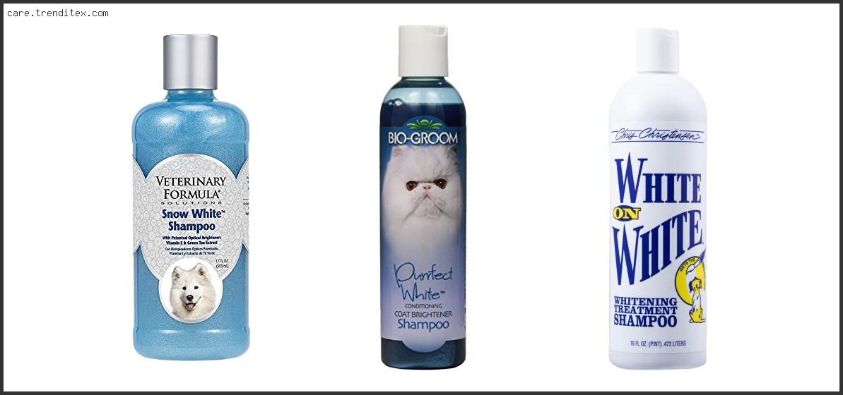 Best Shampoo For White Cats