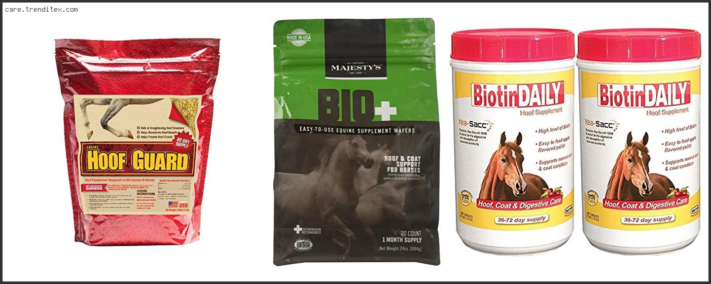 Best Biotin Supplement For Horses