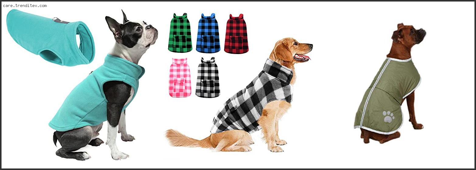 Best Dog Coats For Boxers