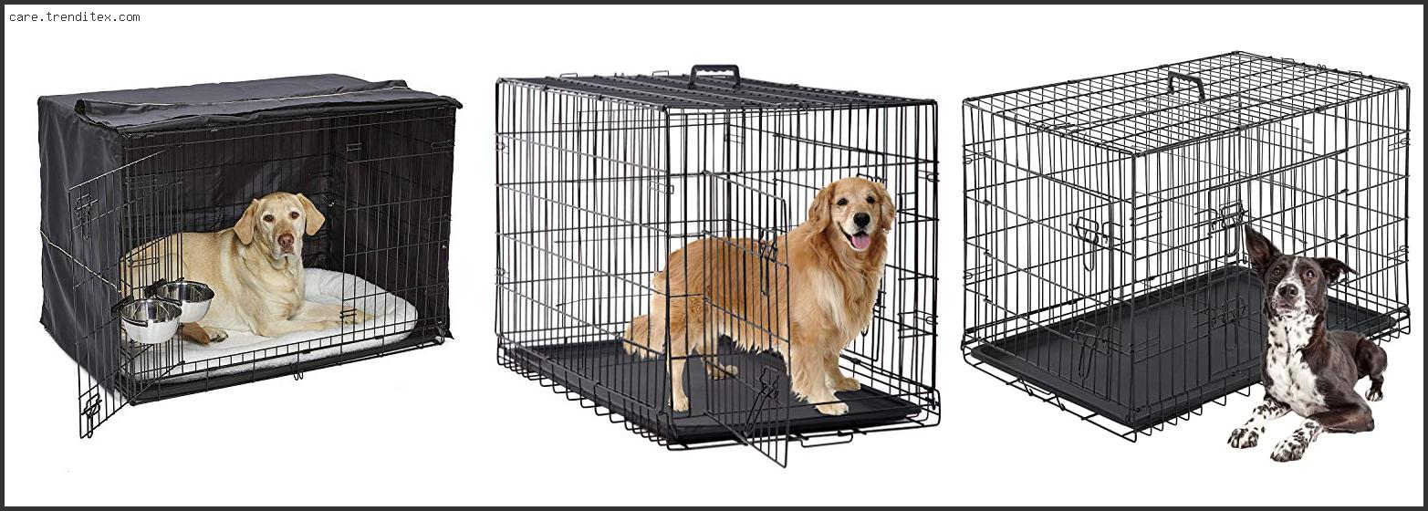 Best Dog Cages For Pitbulls