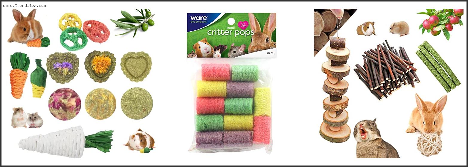 Best Hamster Chew Toys