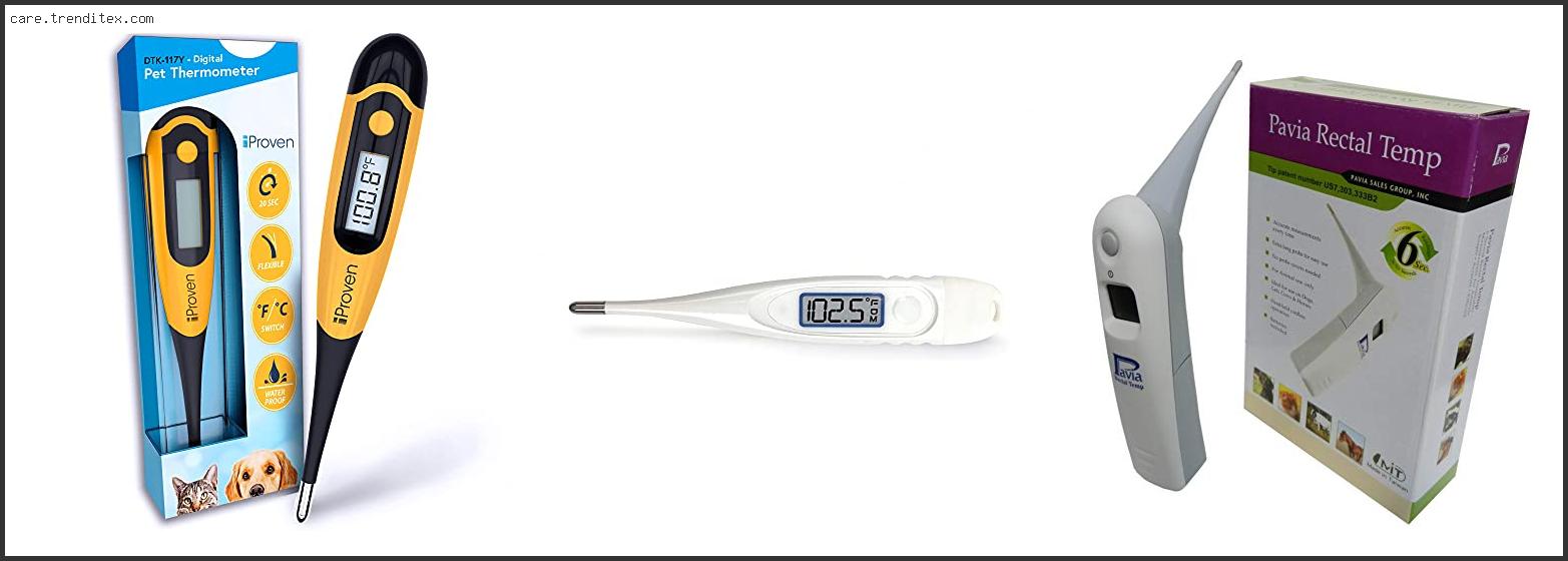 Best Rectal Thermometer For Dogs