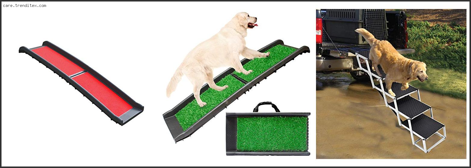 Best Dog Ramp For Outside Steps