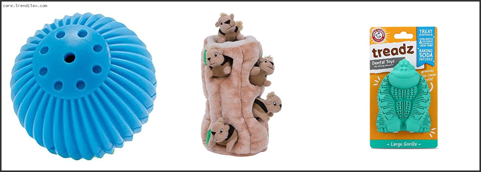 Best Selling Dog Toys