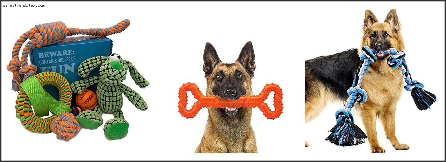 Best Dog Toys For German Shepherds