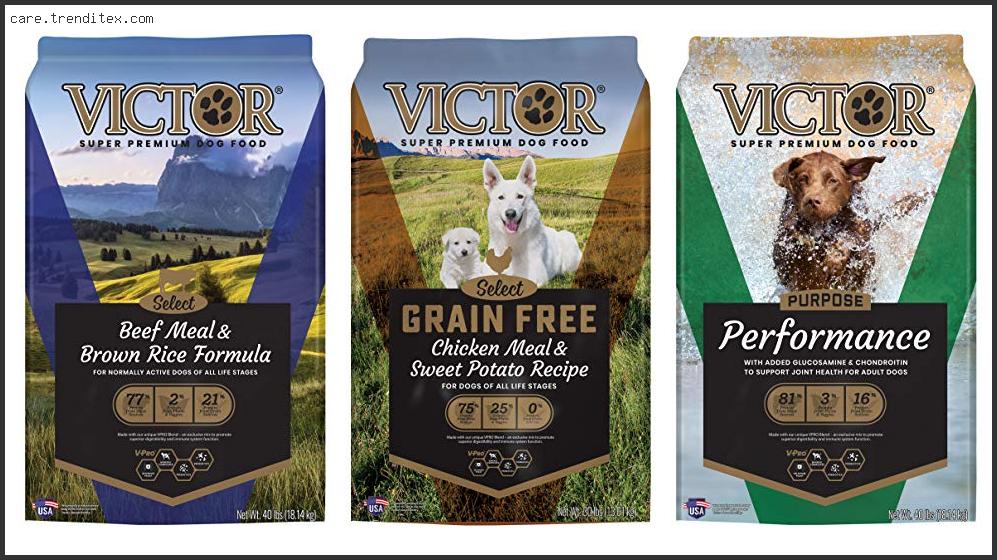 Best Victor Dog Food For German Shepherd