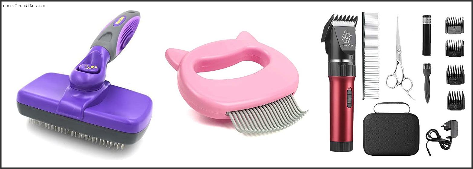 Best Cat Grooming Tools