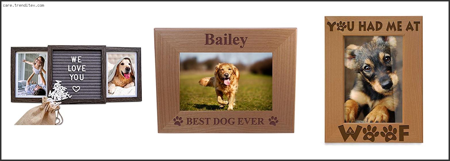 Best Dog Ever Picture Frame