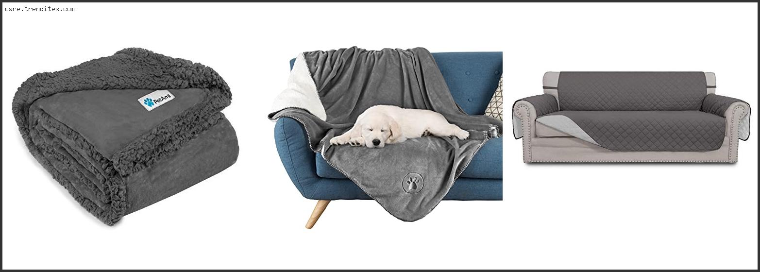 Best Waterproof Couch Cover For Dogs