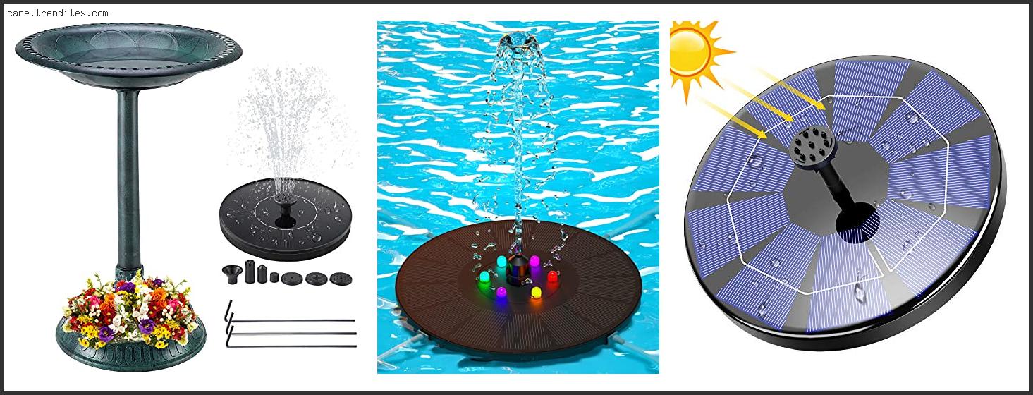 Best Solar Hummingbird Bath Fountain