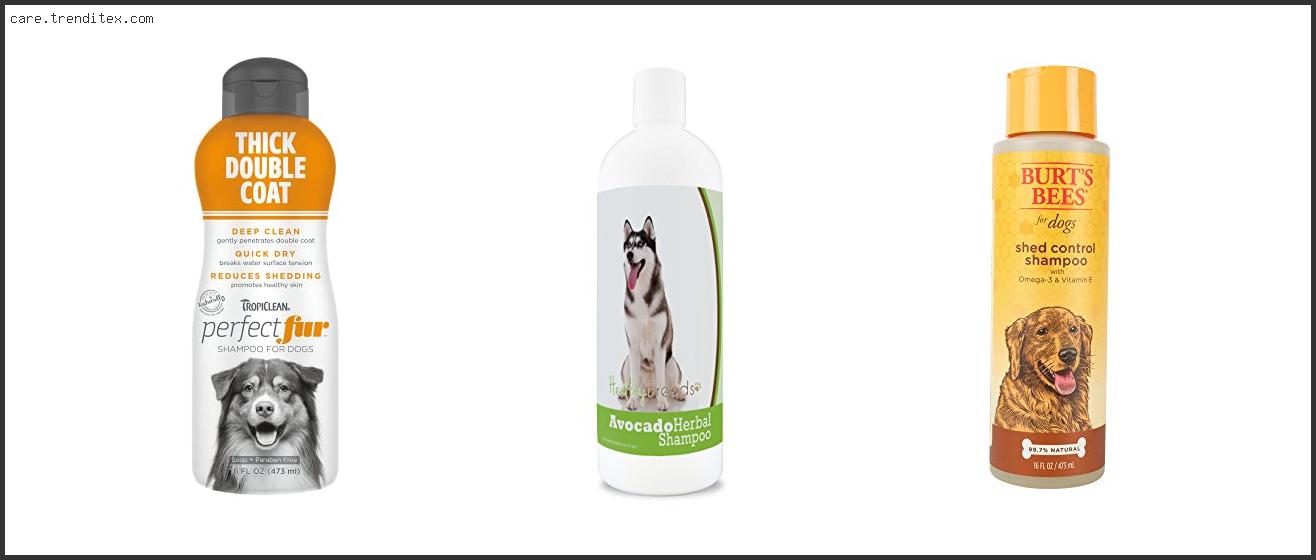 Best Dog Shampoo For Siberian Husky