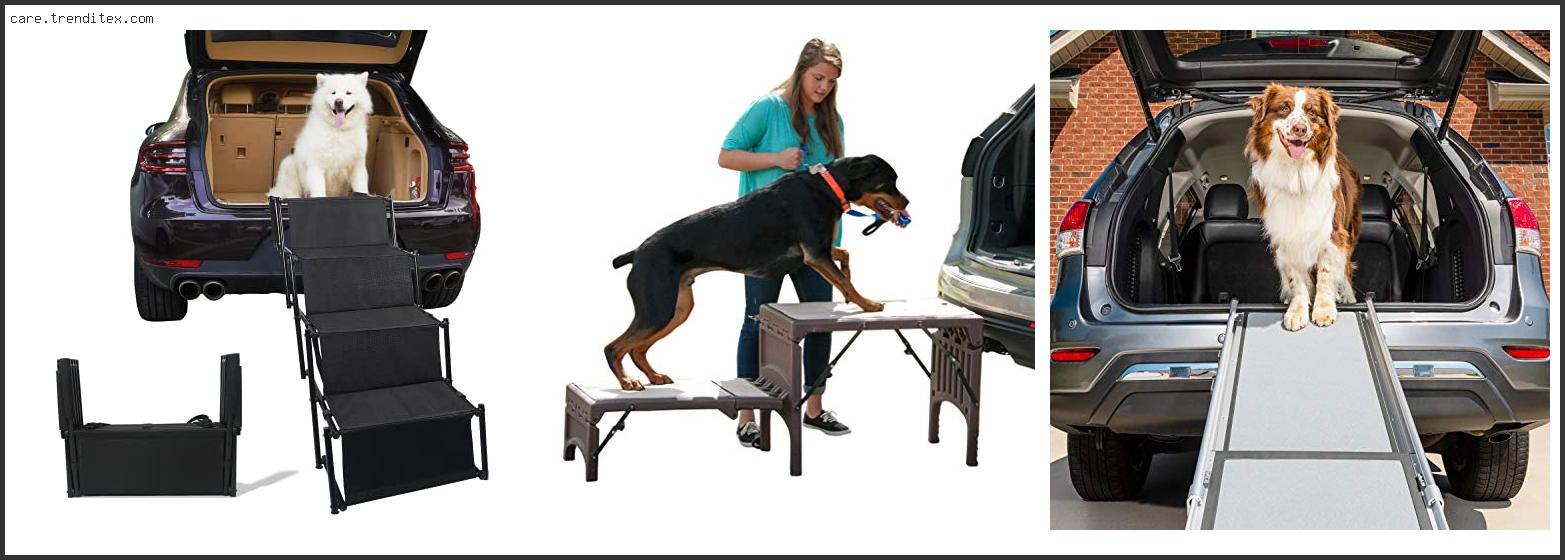 Best Dog Ramp For Suv Side Door