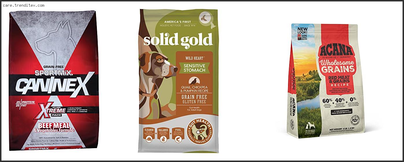 Best Gluten Free Dog Food