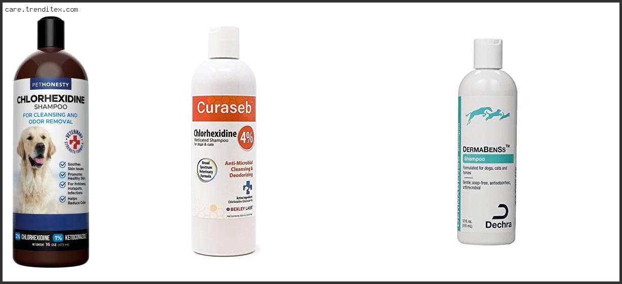 Best Antiparasitic Shampoo For Dogs