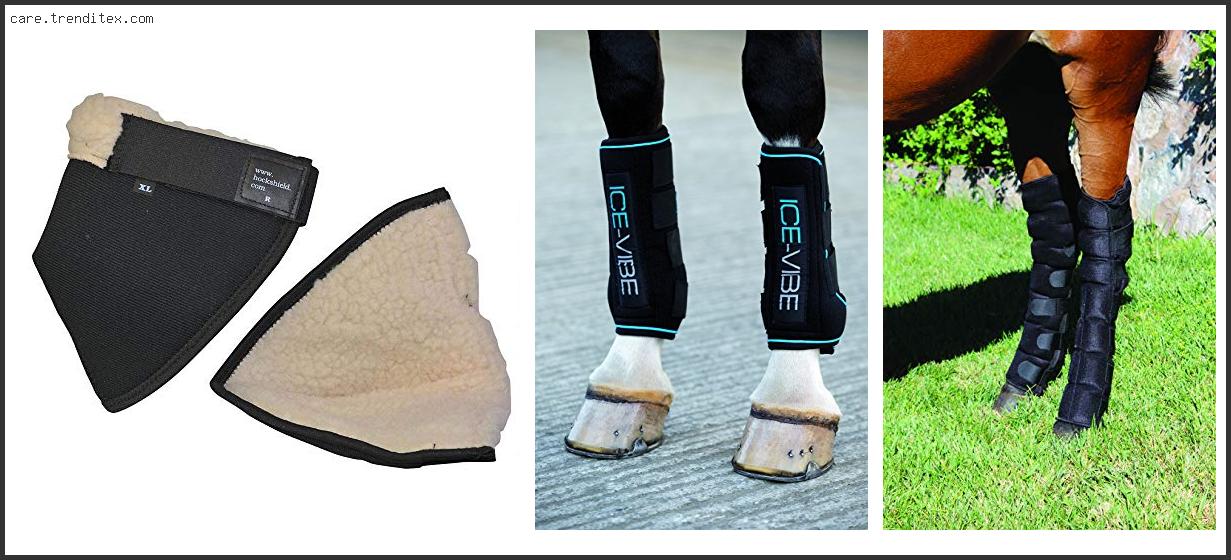 Best Hock Boots For Horses