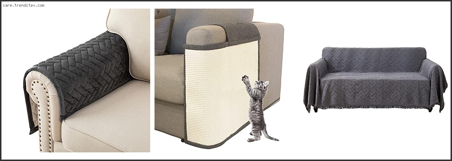 Best Couch Covers For Cats